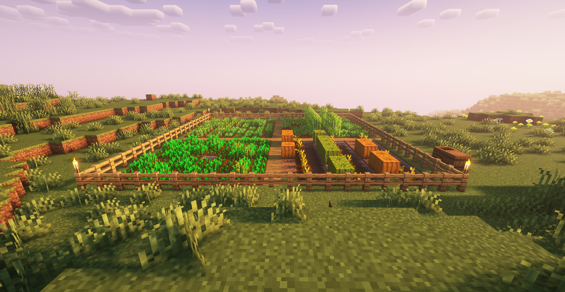 A view of a farm in the overworld. Many types of crops grow
here.